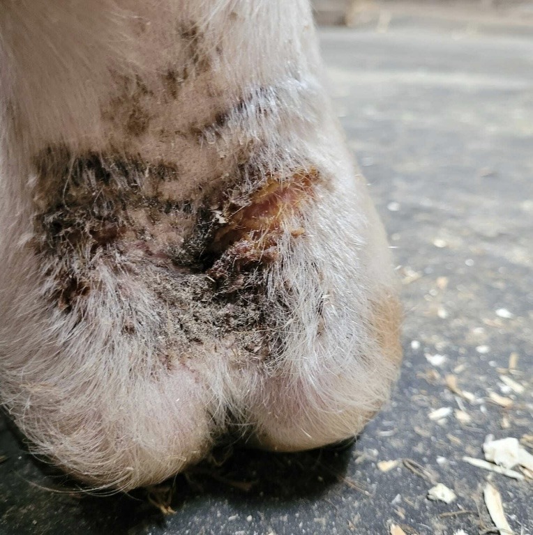 News-article-3-image